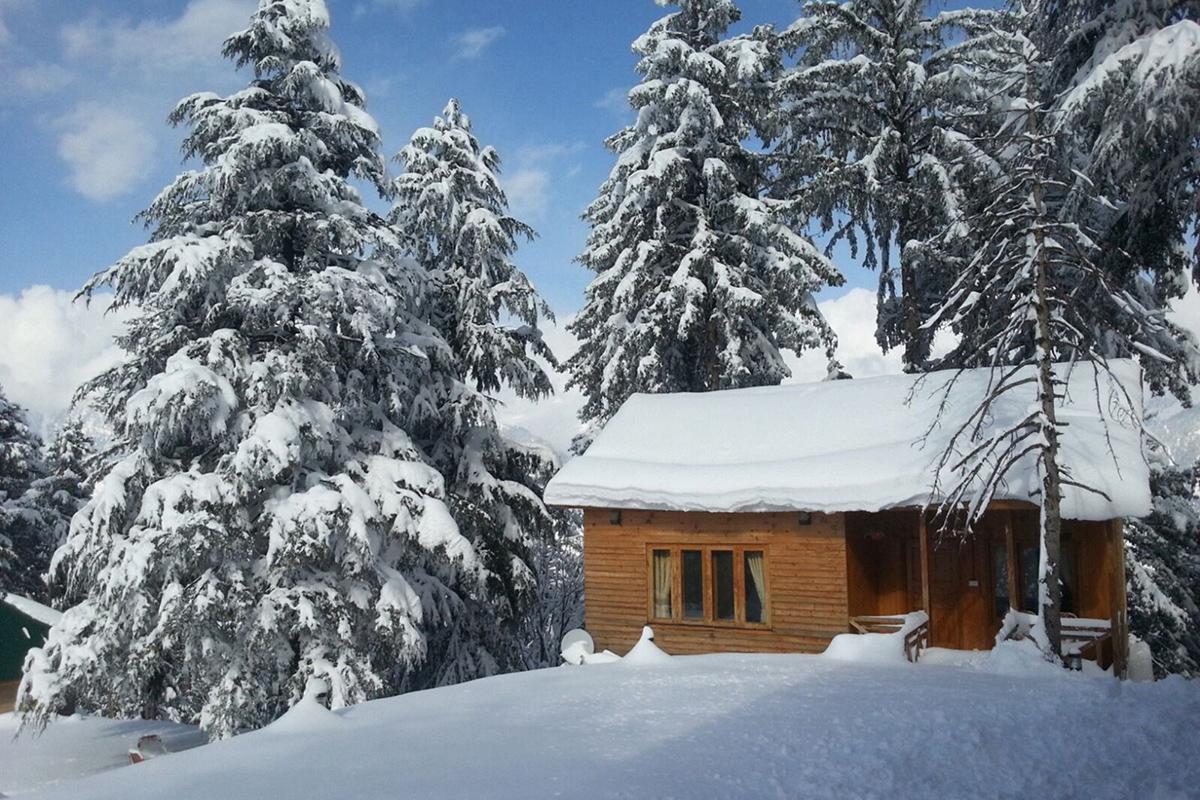 Arcadian Sprucewoods Hotell Shogran Exteriör bild